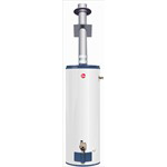 Rheem Direct Vent Vertical Option series
