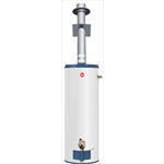 Rheem Direct Vent series